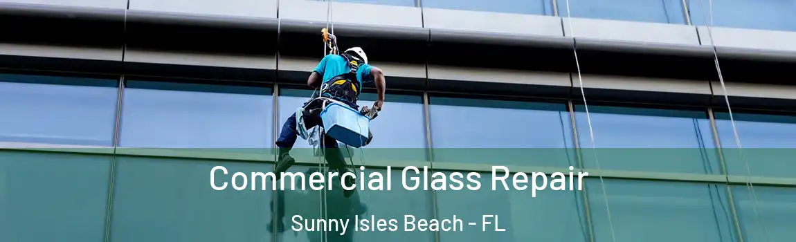 Commercial Glass Repair Sunny Isles Beach - FL
