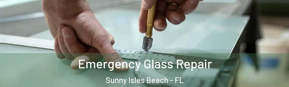 Emergency Glass Repair Sunny Isles Beach - FL