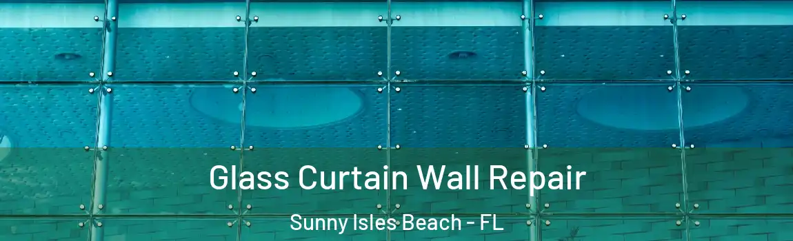 Glass Curtain Wall Repair Sunny Isles Beach - FL