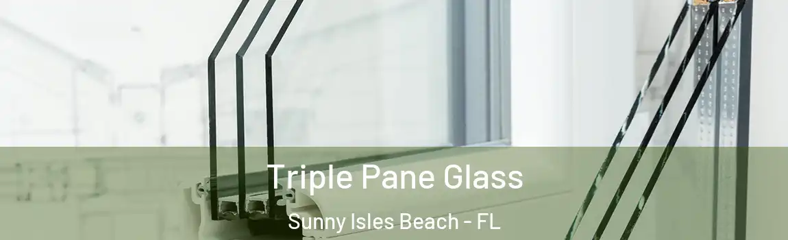 Triple Pane Glass Sunny Isles Beach - FL