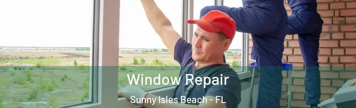 Window Repair Sunny Isles Beach - FL