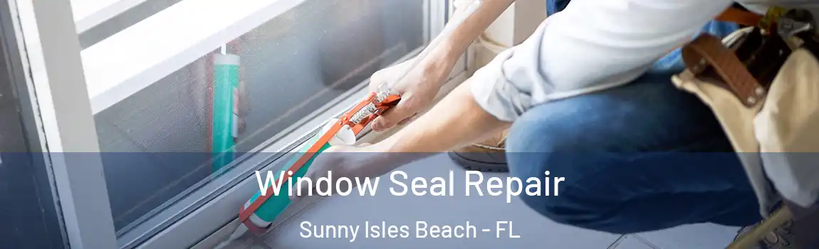 Window Seal Repair Sunny Isles Beach - FL